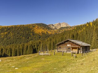 San Martino di Castrozza - Val Venegia - Malga Venegia