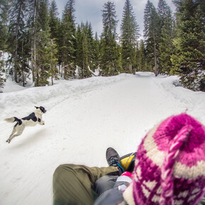 San Martino di Castrozza - Val Venegia