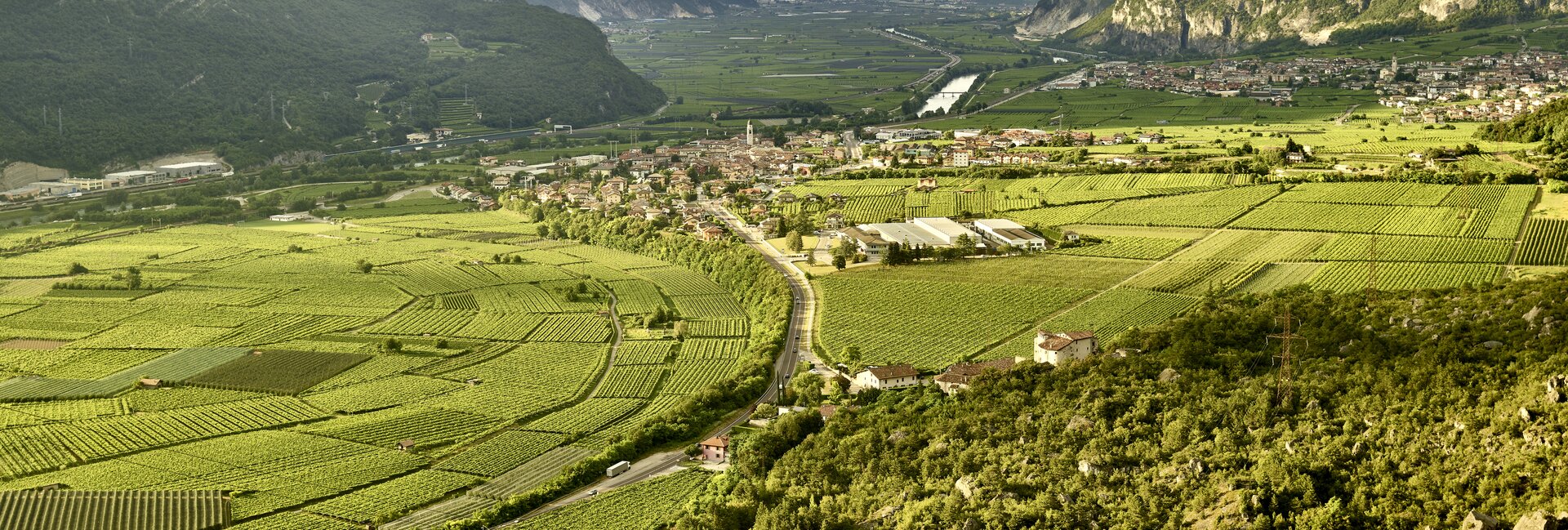 Vallagarina - Volano