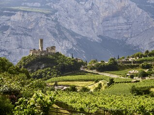 Alto Garda - Valle dei Laghi - Drena
