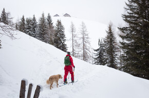 Valsugana - Val Campelle - Sci alpinismo
