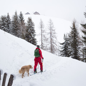 Valsugana - Val Campelle - Sci alpinismo
