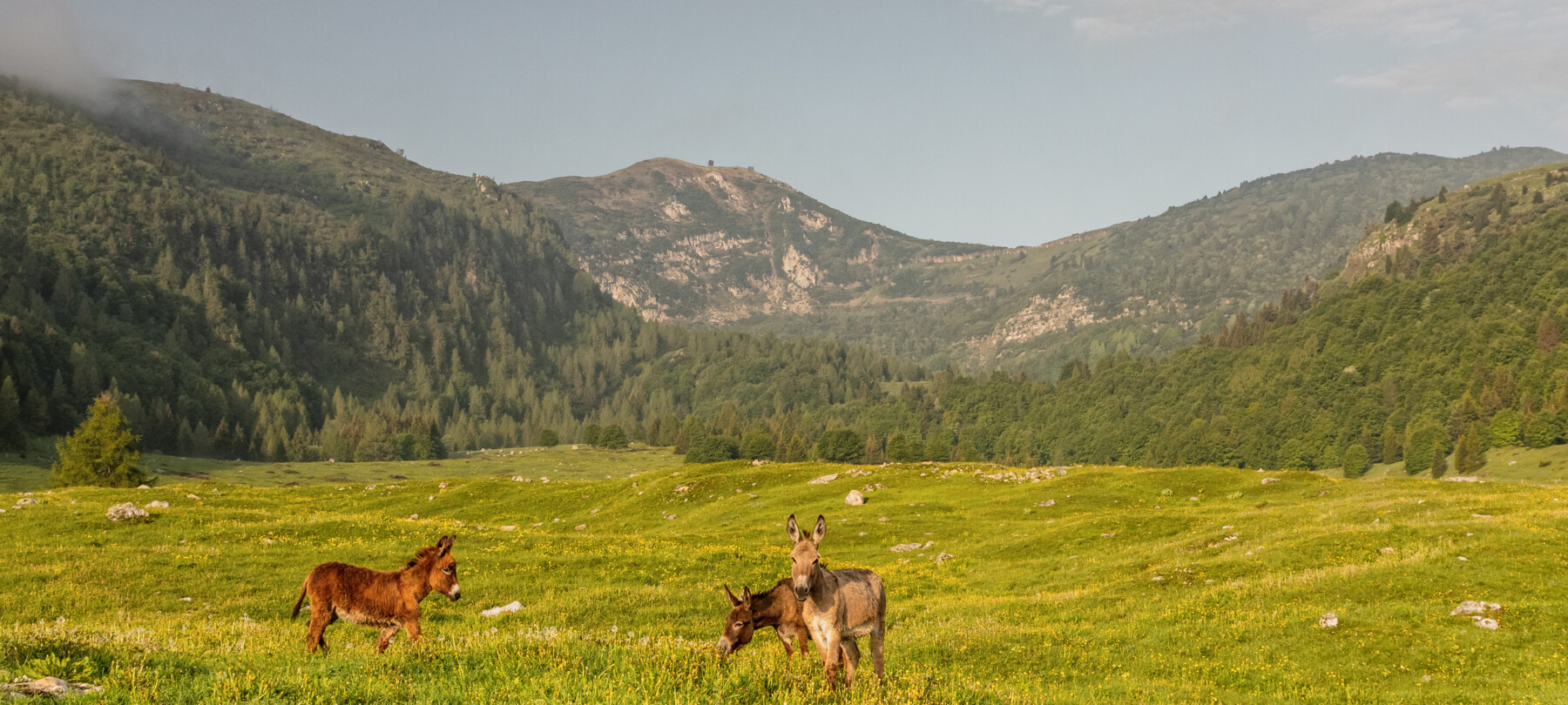 Vallagarina - Monte Baldo