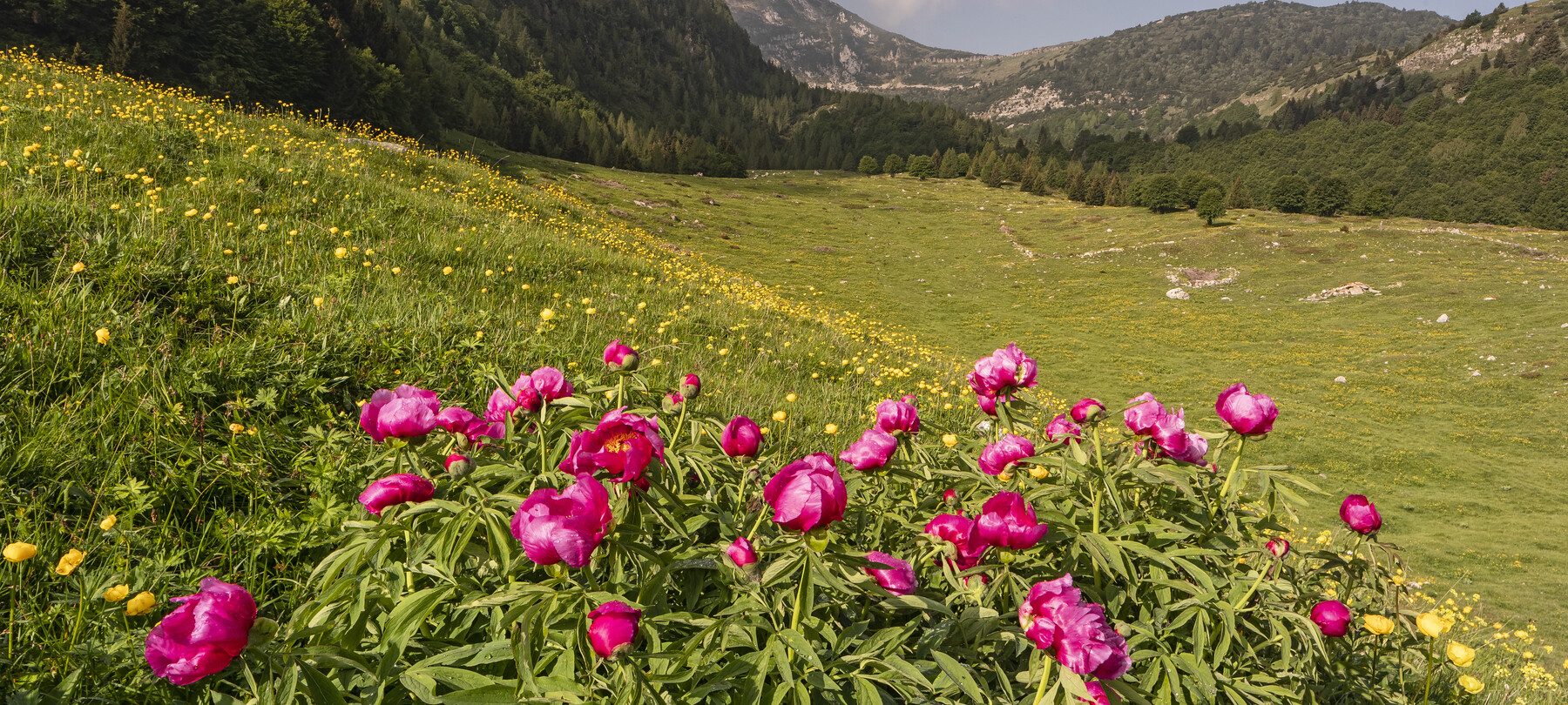Vallagarina - Monte Baldo