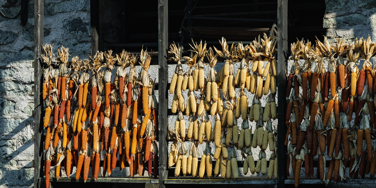 Bleggio Superiore #1