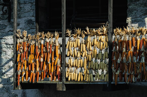 Valli Giudicarie - Bleggio - Rango