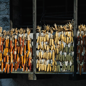 Valli Giudicarie - Bleggio - Rango