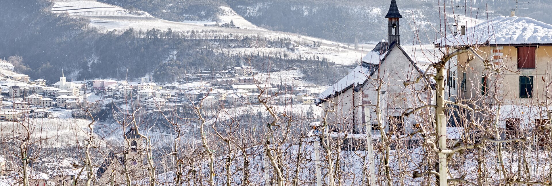 Val di Non - Panorama invernale
