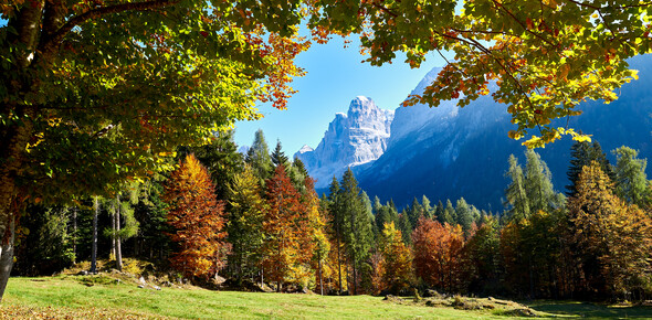 Dolomiti di Brenta - Val Rendena - Dolomiti di Brenta - Foliage