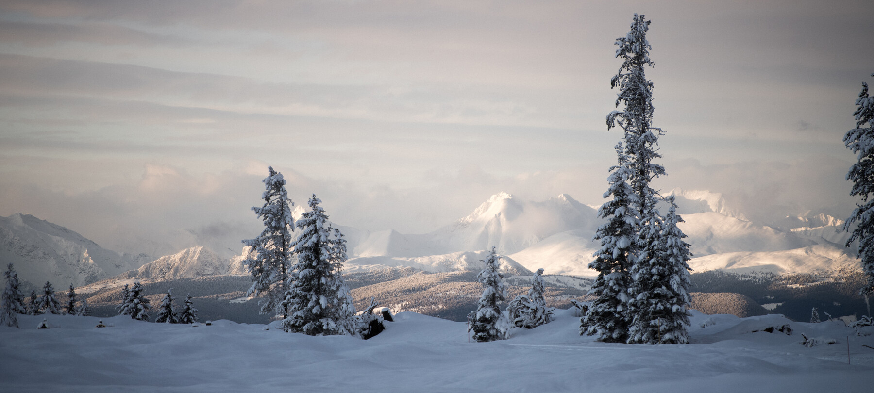 Val di Fiemme - Passo Lavaz?