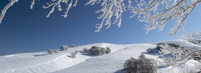 Vallagarina - Altopiano di Brentonico - Polsa di Brentonico