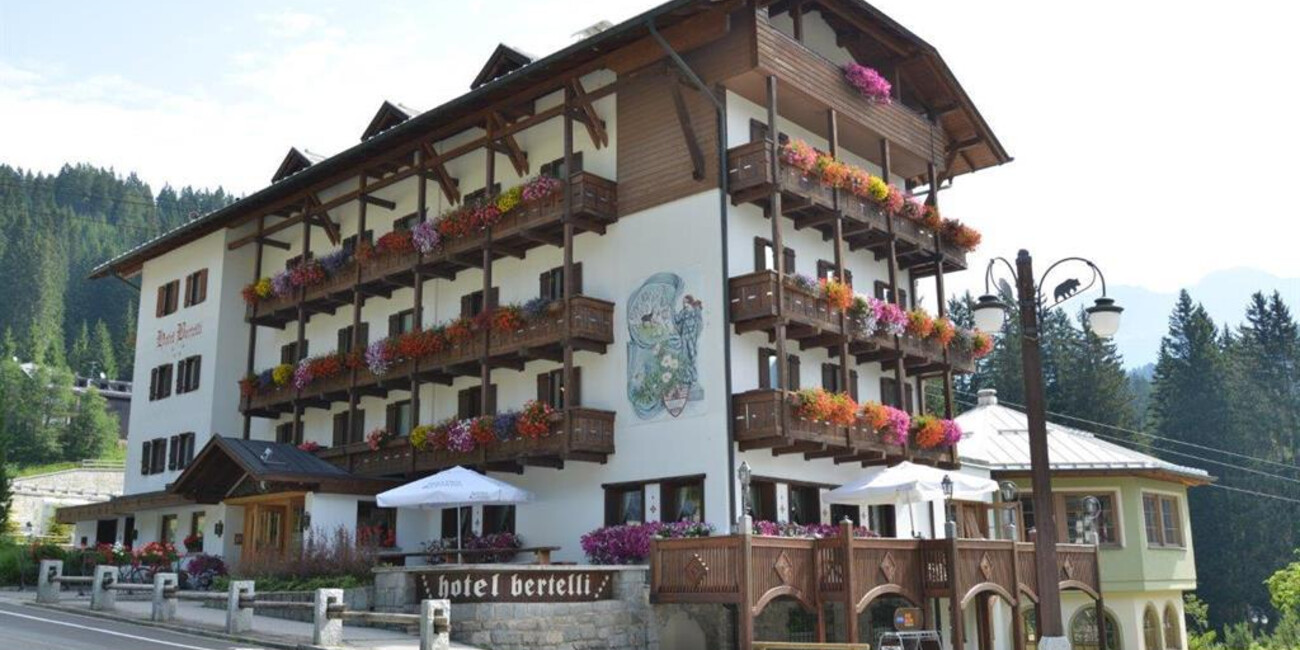 Area sosta camper Madonna di Campiglio - Vicinanze Hotel Bertelli #1