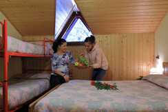 Camera quadrupla Lupi di Toscana  (66)