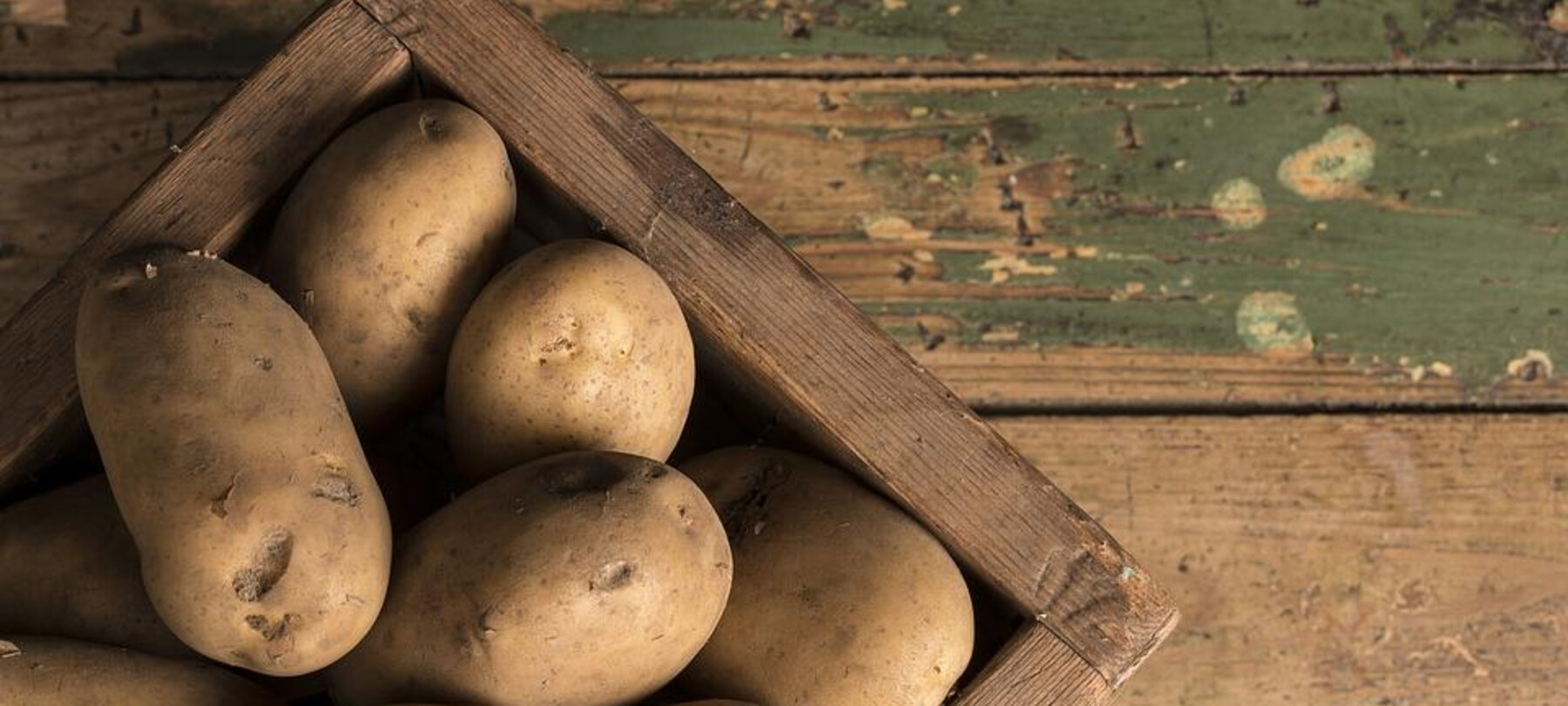 Harvesting the fruits of winter