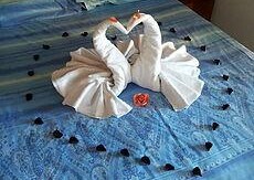 Rifugio_orso_bruno_camera2