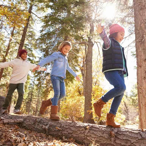 bambini-bosco-id515278306-min