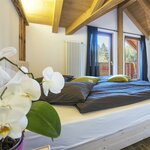  Photo of Junior suite, shower and bath, toilet, quiet