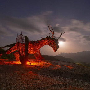 Drago Vaia Rigeneration Alpe Cimbra | ©  Francesco Dissegna