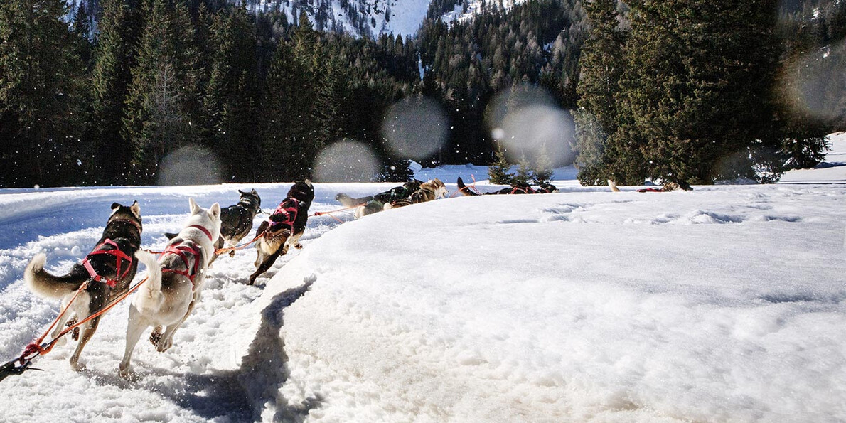 Sneeuw voor iedereen ook voor de niet skiër!