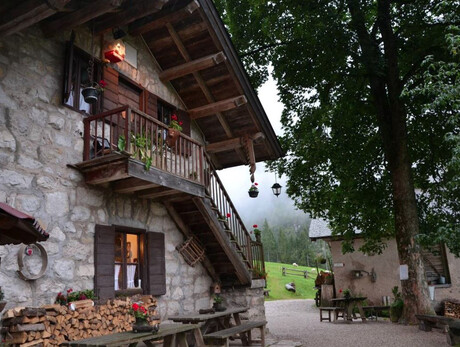 #ALBE IN MALGA - Malga Canali