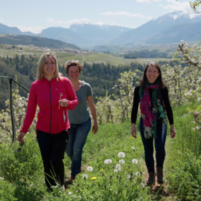 Aprile Dolce Fiorire