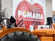 Pomaria