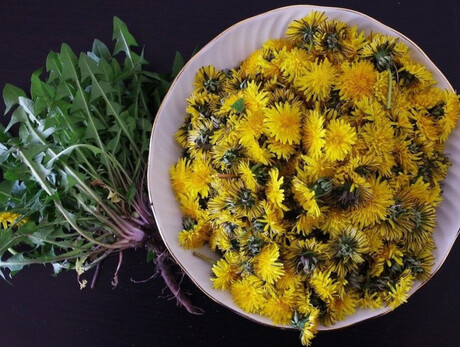 Aprile Dolce Fiorire