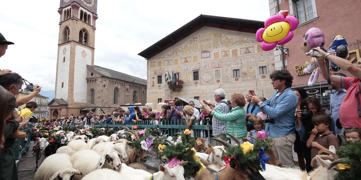 De traditie van de terugkeer uit de alpenweides