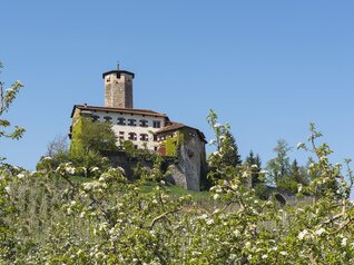 Art and Culture in Trentino - Val di Non | © Castel-Valer-Apt-Val-di-Non