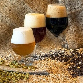 Un boccale di...territorio