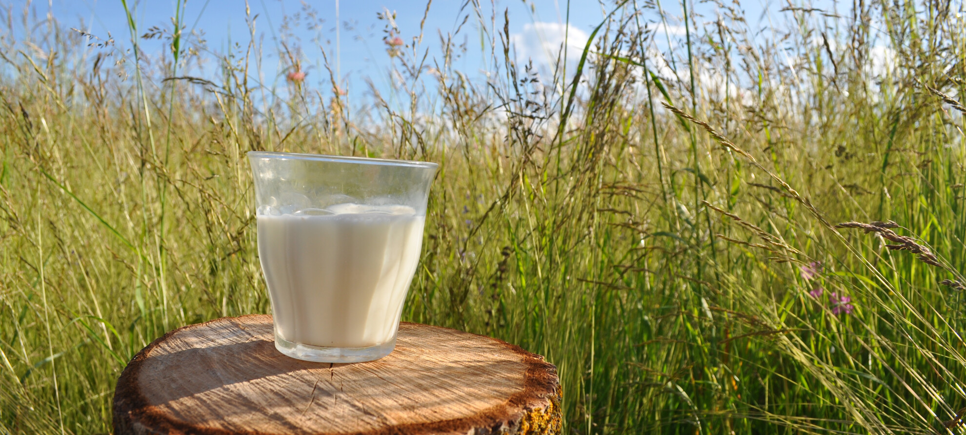 Цвет молока