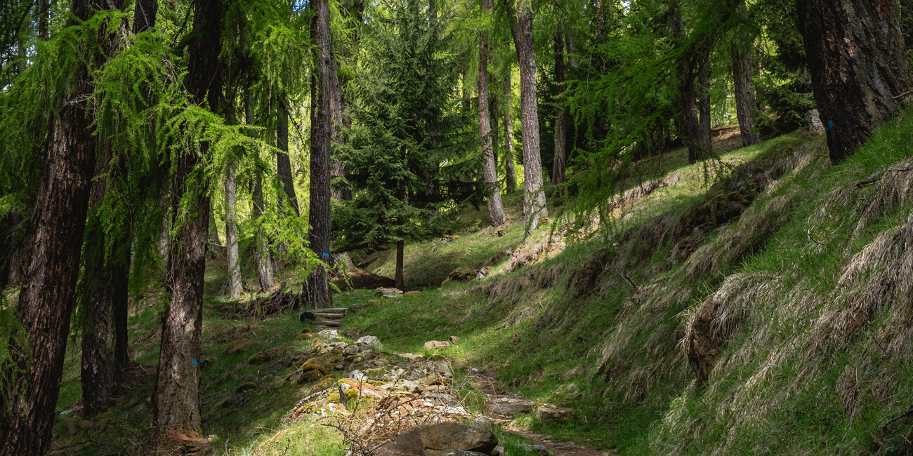  Discover Trentino’s best kept secrets this summer #2