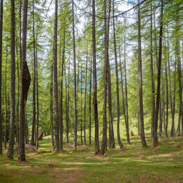  Discover Trentino’s best kept secrets this summer