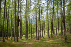  Discover Trentino’s best kept secrets this summer