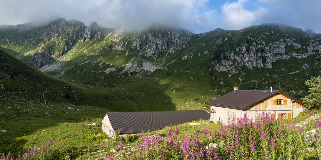 Frühlings-Detox im Trentino: Entschleunigung beim Wandern durch duftende Blumenlandschaften  #3