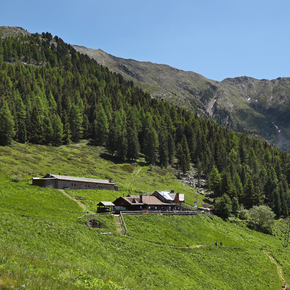 Bike & Hike: Trentino mit Trails für Adrenalin-Junkies und...