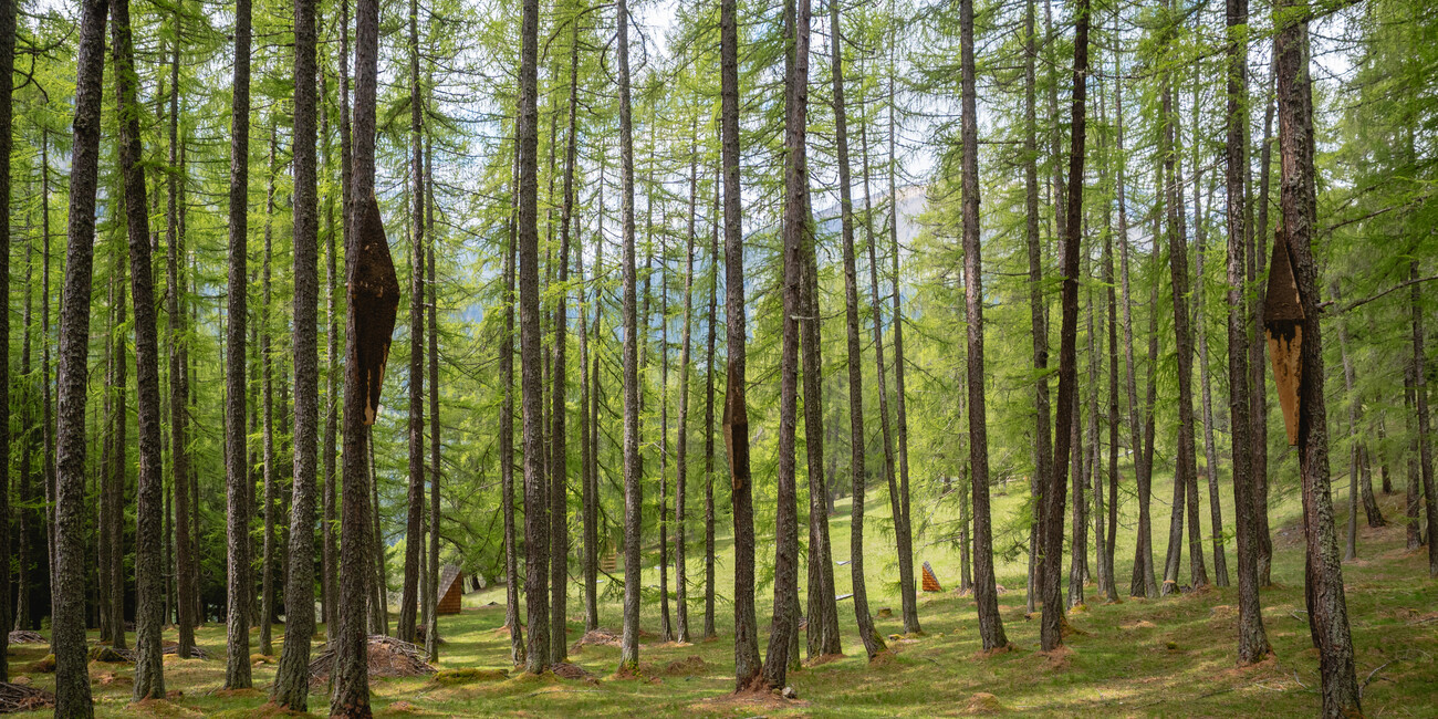Hidden Gems im Trentino: Mediterranes Lebensgefühl und stille Bergwelten - Drei Geheimtipps für den Sommer #2