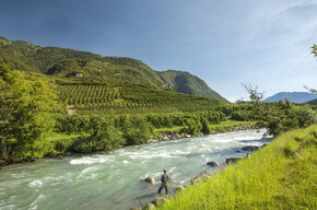 Lenze mondiali su  fiumi e torrenti in Val di Sole