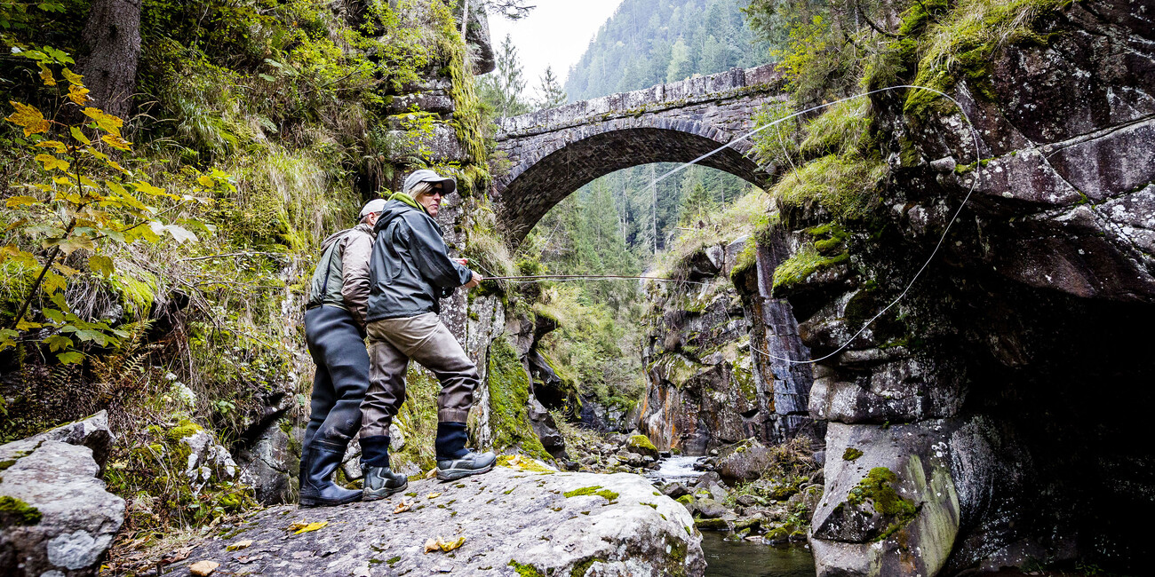 Valuable fish fauna in the waters of Trentino FISHING IN RIVERS AND LAKES RECLAIMED BY NATURE #4