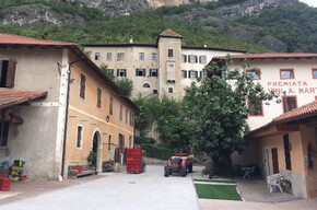 Pic nic tra le pergole con i  vignaioli trentini