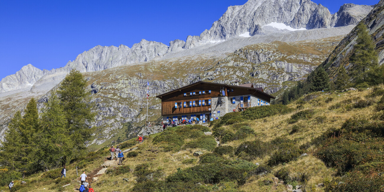 Экологичный опыт среди горных вершин  #3