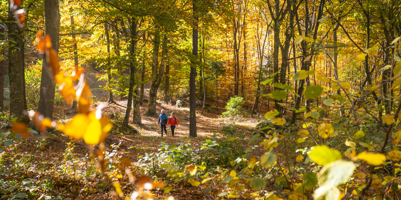 TERME D’AUTUNNO TRA ACQUE E NATURAL WELLNESS #4