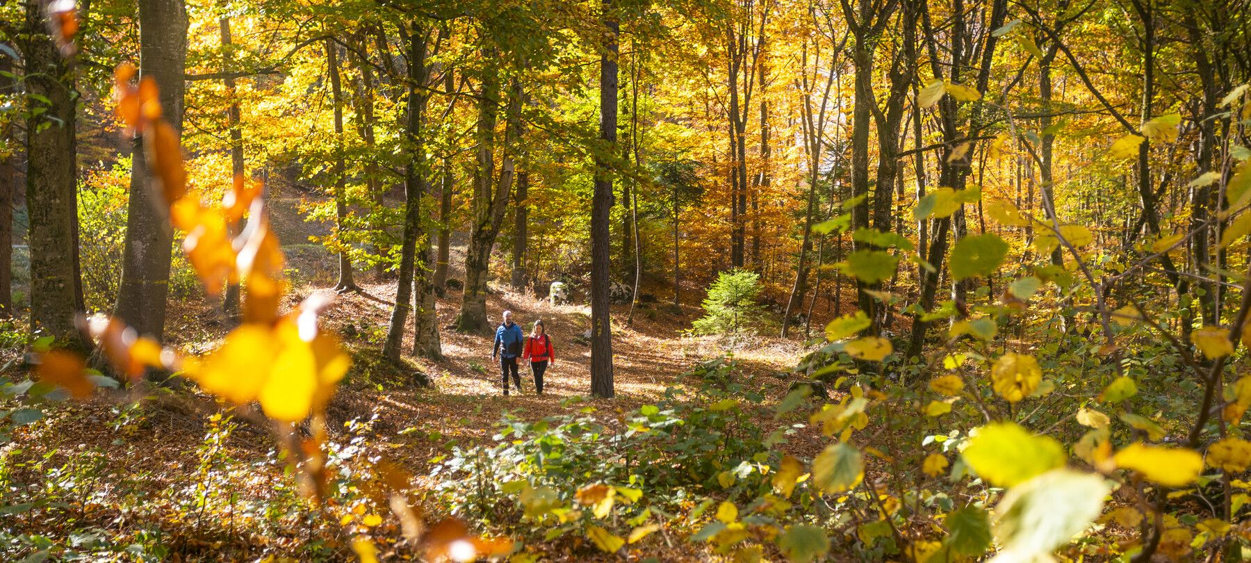 Inklusiver Urlaub für jeden Geschmack