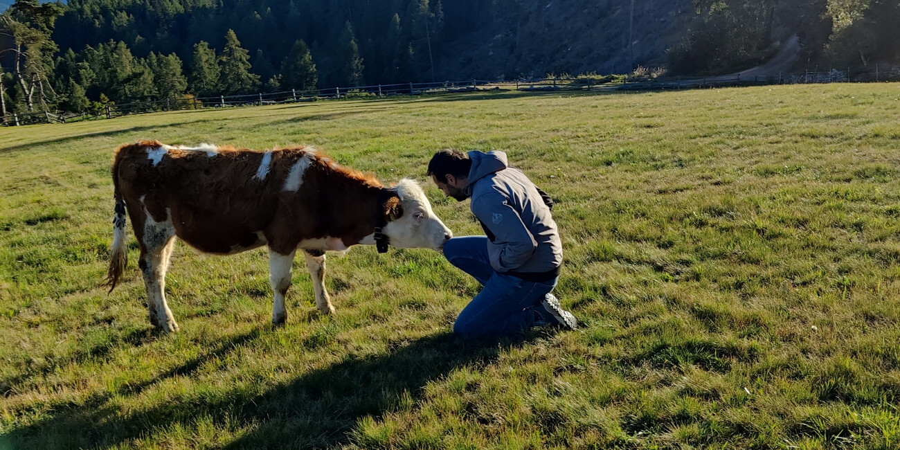 GENERAZIONE BELLEZZA: PUNTATA SULLA VAL DI FIEMME #2