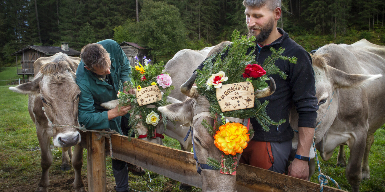 Il ritorno dei pastori dagli alpeggi: una festa che si rinnova #3