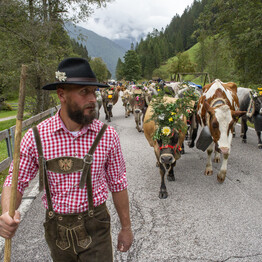 Il ritorno dei pastori dagli alpeggi: una festa che si rinnova