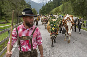 Il ritorno dei pastori dagli alpeggi: una festa che si rinnova