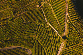 Autunno in Trentino: il rito dei raccolti e delle vendemmie che preannuncia la festa 