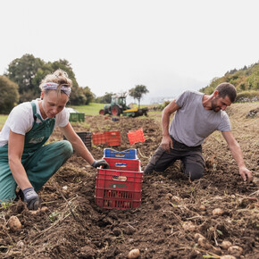 Borghi da gustare: l’autunno in Trentino si serve in tavola
