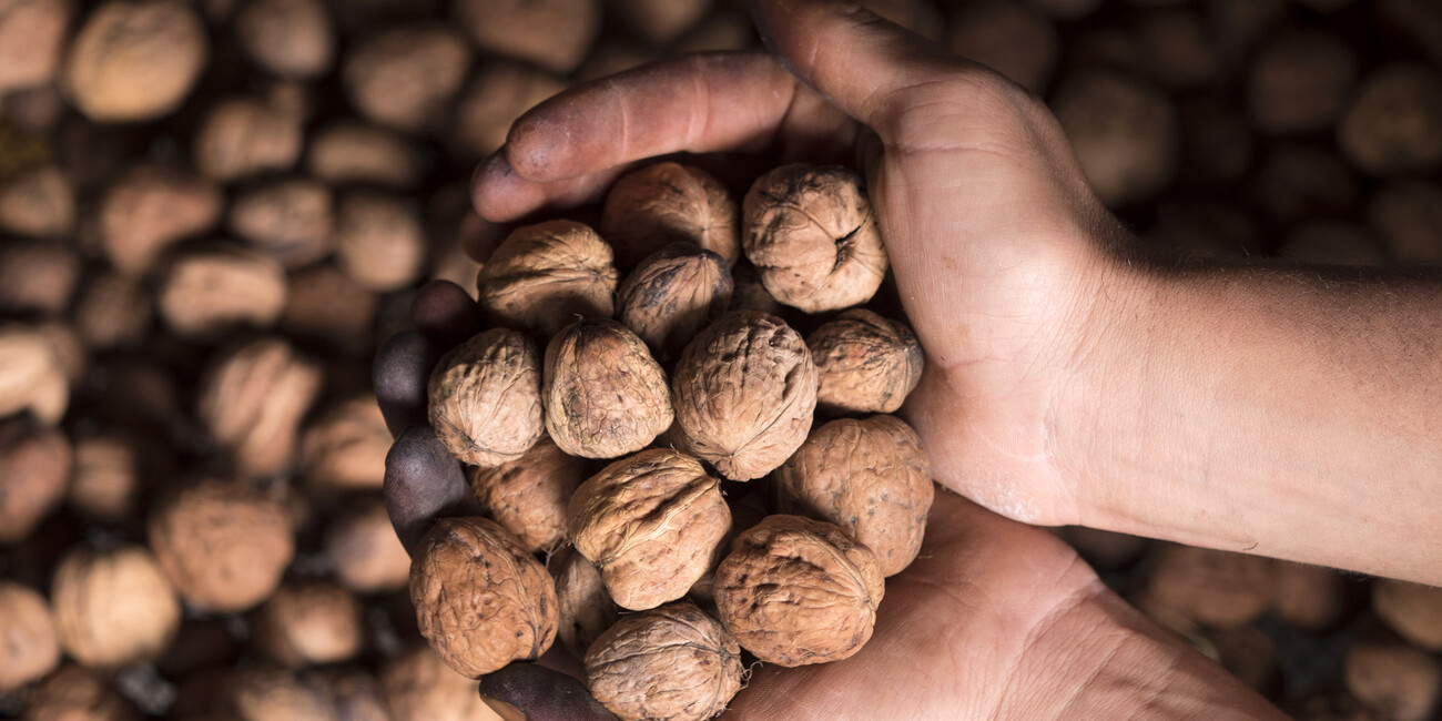 Borghi da gustare: l’autunno in Trentino si serve in tavola #3